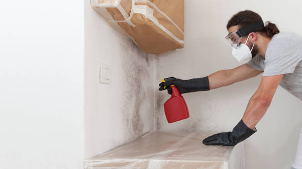 Professional Mold Inspection And Testing technician working in New Hyde Park, NY